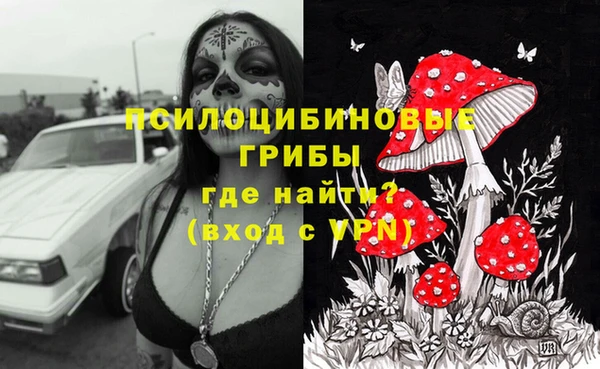 МДМА Арсеньев