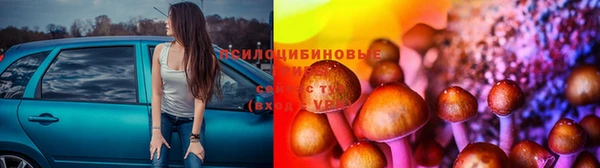 бутик Аркадак